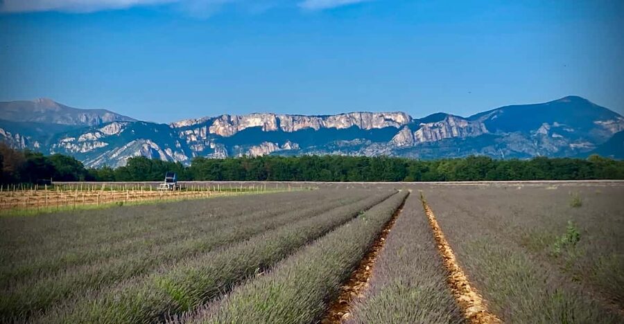 Bespoke Luxury Sightseeing Experiences - Charming Tour: St Paul de Vence, Antibes, and Grasse countryside mood