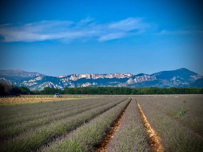 Bespoke Luxury Sightseeing Experiences - Glamour Tour: Cannes, Port Grimaud, St Tropez, and Pampelonne beaches