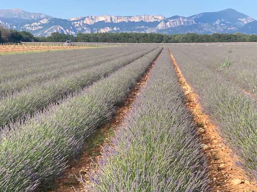 Bespoke Luxury Sightseeing Experiences - Purple Tour: Castellane, Gorge du Verdon, lavender fields, and Moustiers Sainte Marie