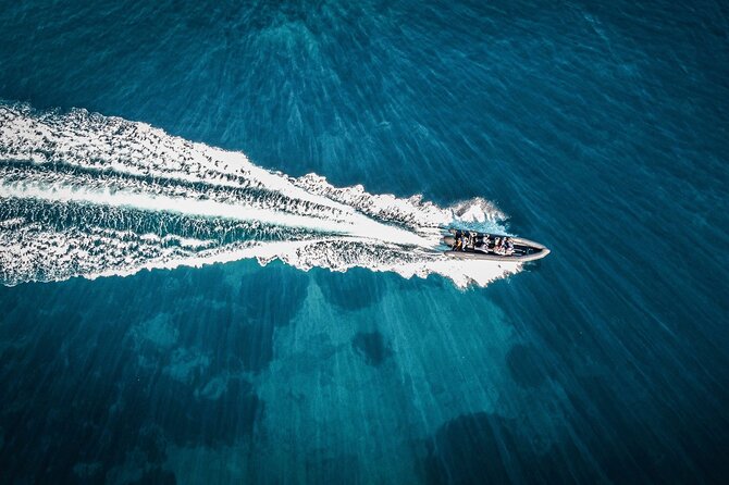 Boat Excursion - Nice/St Jean Cap Ferrat 1H30 - Who this cruise suits best (and who should think twice)