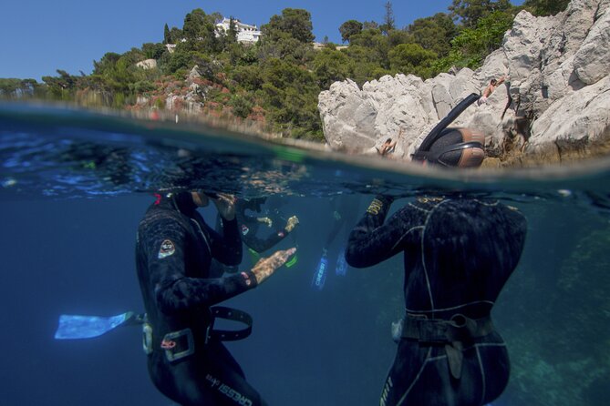 Boat trip and snorkeling in Villefranche - sur - Mer - Family-Friendly Details: Changing Rooms and Limited Facilities