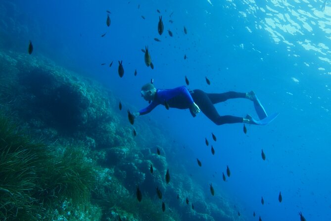 Boat trip and snorkeling in Villefranche - sur - Mer - The Briefing and the Route: What the Instructor Preps You For