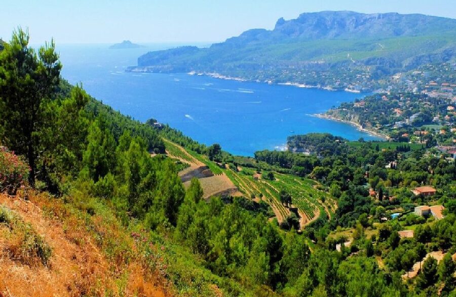 Calanques of Cassis, Aix-en-Provence & Wine Tasting Day Tour - Key highlights worth planning around
