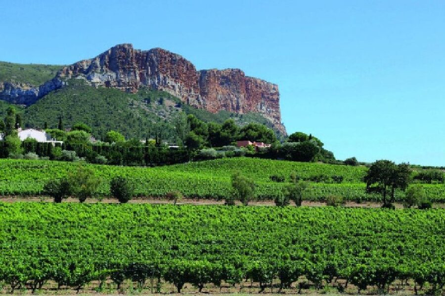 Calanques of Cassis, Aix-en-Provence & Wine Tasting Day Tour - Aix-en-Provence: fountains, Baroque streets, and Roman spa vibes