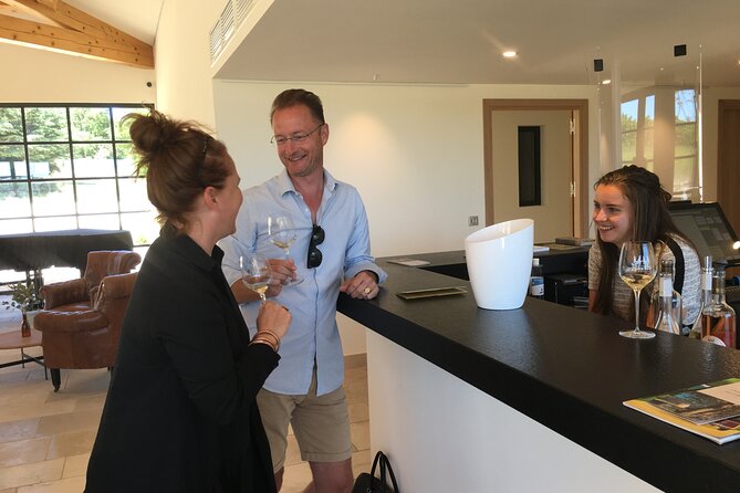 Côtes de Provence Small Group Day Trip with Winery Visits & Tastings from Nice - Price and value: what $199.55 buys you in a full-day format