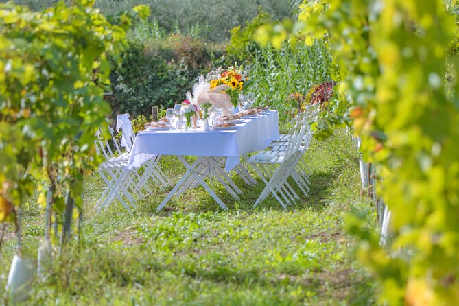 Dinner in the Vineyard French Riviera - Should You Book Dinner in the Vineyard French Riviera?