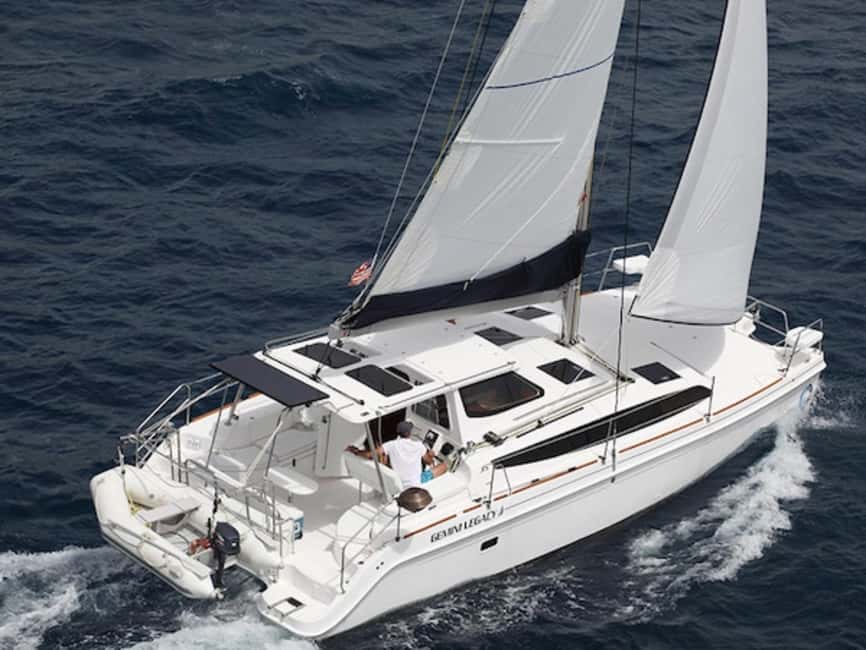 Enjoy a magical cruise on the incredible French Riviera! - Dolphins, swimming, and the water gear that makes it real