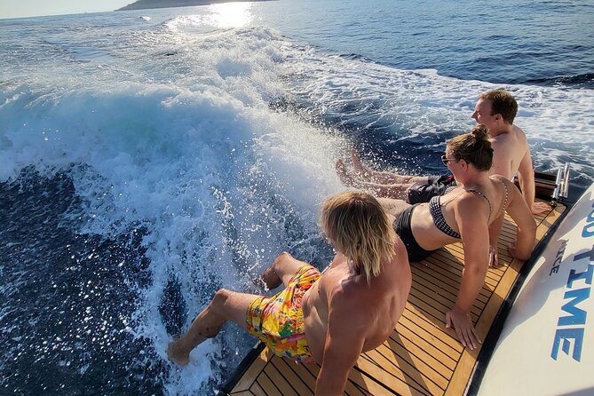 Exclusive cruise, swimming, Saint Jean Cap Ferrat, Nice, Eze - Cap Ferrat cruise: quick views, big payoff