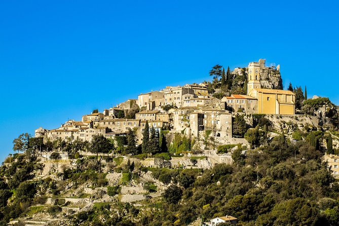 Eze, Monaco & Monte-Carlo Private Full-Day Tour - Oceanographic Museum of Monaco: Worth It, But Plan for Extra Admission
