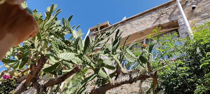 Èze: Walking Tour with a Certified Local Guide - Château Eza and Chapelle Sainte-Croix: reading power, religion, and repair work