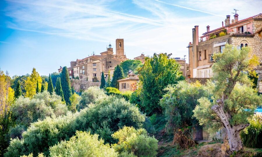 Flavor & Taste of Provence - Key highlights you’ll feel on day one