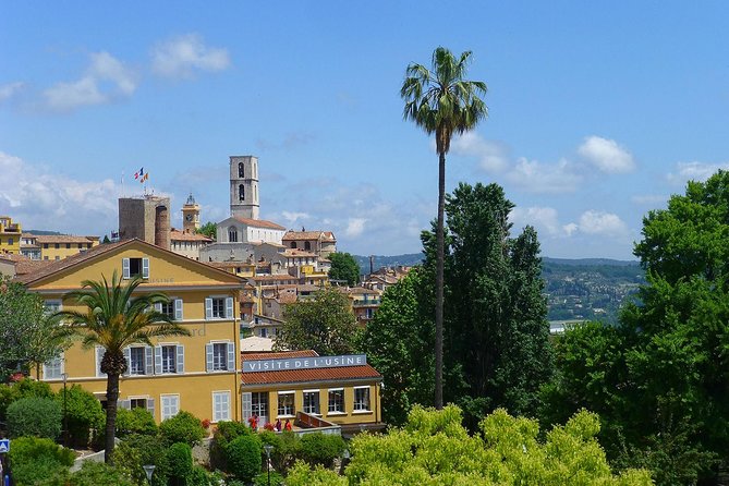 Flavors & Tastes of Provence , Shared & Guided 1/2 Day from Nice - Group Size, Timing, and Why It Can Feel Rushed