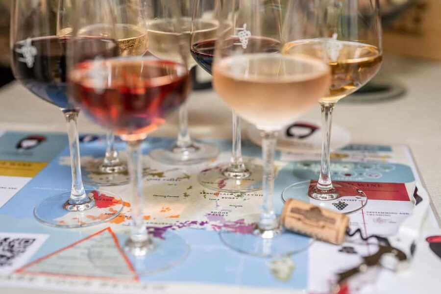 Frecnh Wine Tasting in City Center of Nice - Your French wine journey: regions you’ll recognize and a few you might not