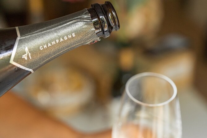 French Fine Wine Tasting in Nice city centre - What you learn: history, winemaking, and regional style (without wine homework)