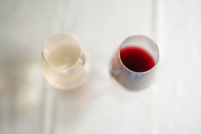 French Fine Wine Tasting in Nice city centre - The short version: what the experience feels like