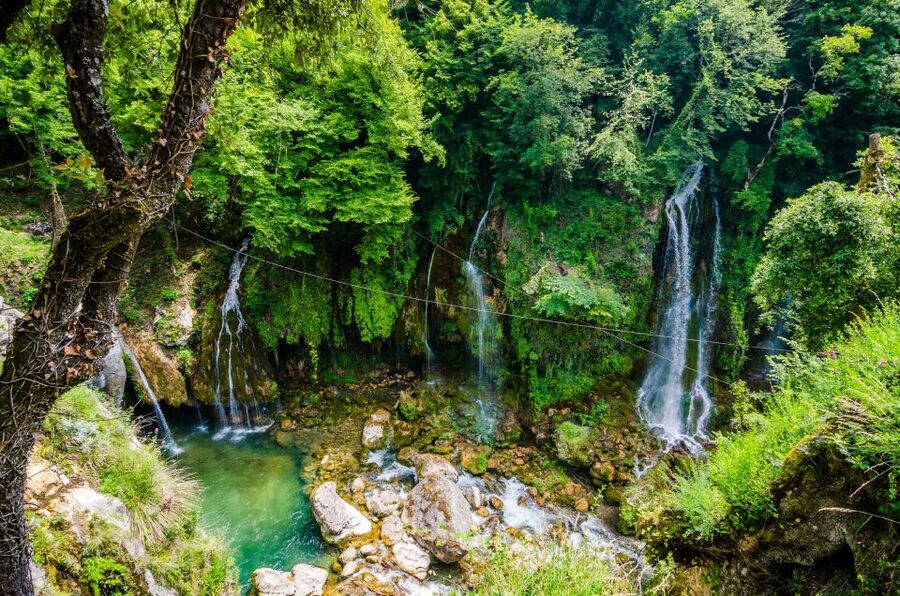 From Nice: Flower Fields & Saint Cassien Lake Full-Day Trip - Lavanderaie de Marie: the scent garden that teaches your senses