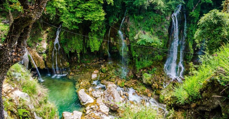 From Nice: Flower Fields & Saint Cassien Lake Full-Day Trip - Grasse and Fragonard: how perfume is made, explained by people who know it