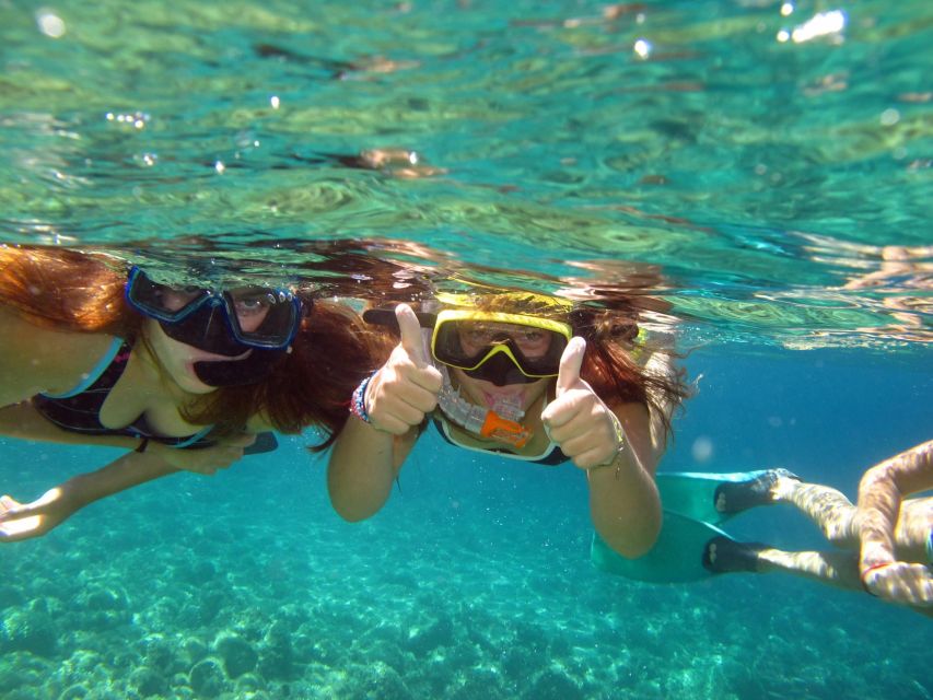 From Nice: French Riviera Swimming and Snorkeling Cruise - Snorkeling in Villefranche Bay: what you’ll actually see