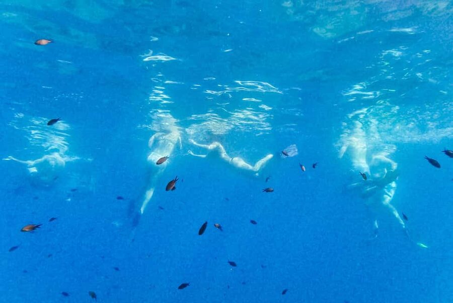 From Nice: French Riviera Swimming and Snorkeling Cruise - Crew, instruction, and the small details that boost confidence