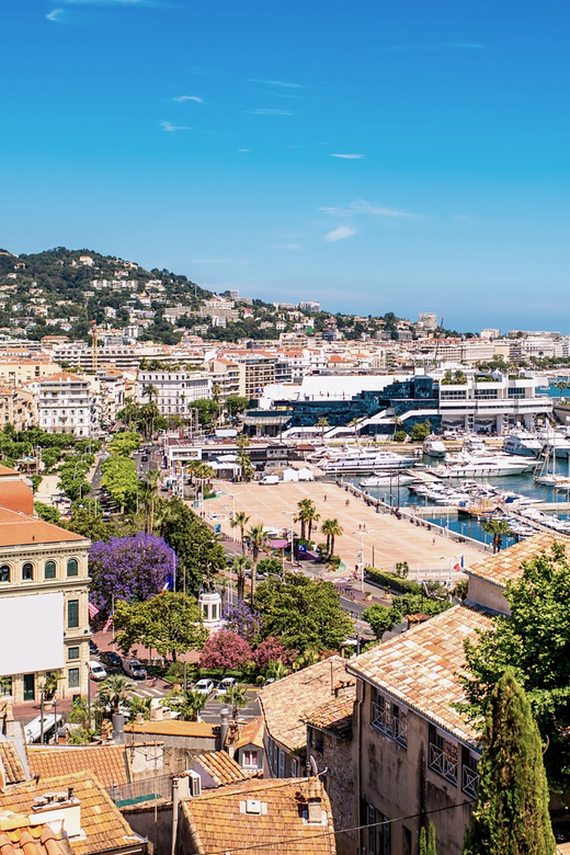 From Nice: Full-Day Best of the Riviera - Tips for Getting the Most Out of Eze, Monaco, Antibes, and Cannes