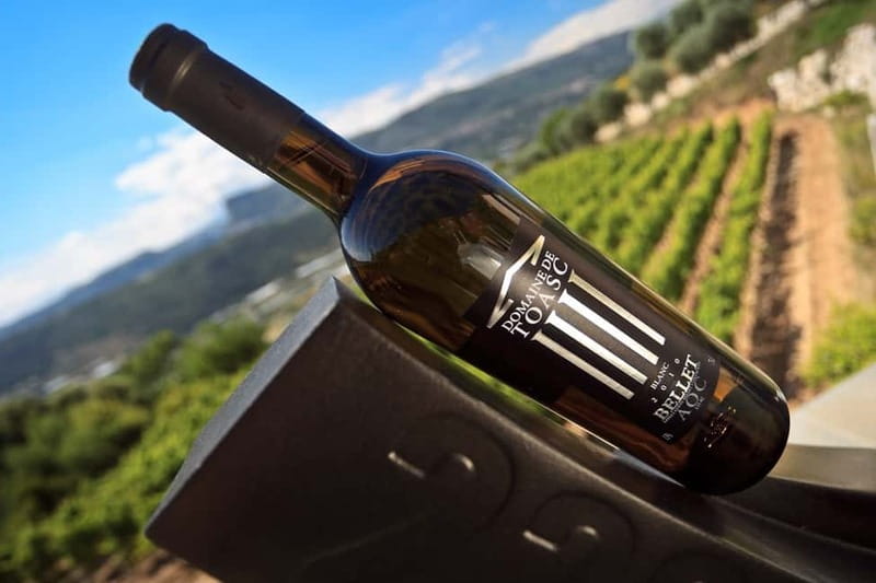 From Nice: Half-Day Wine Tour in the Bellet Wine Region - What you actually learn (and why it changes how you buy wine later)