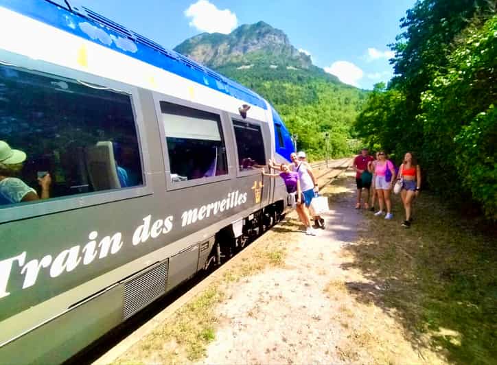 From Nice: Historic Train Ride & Alps Villages - Who should book this, and who should skip it