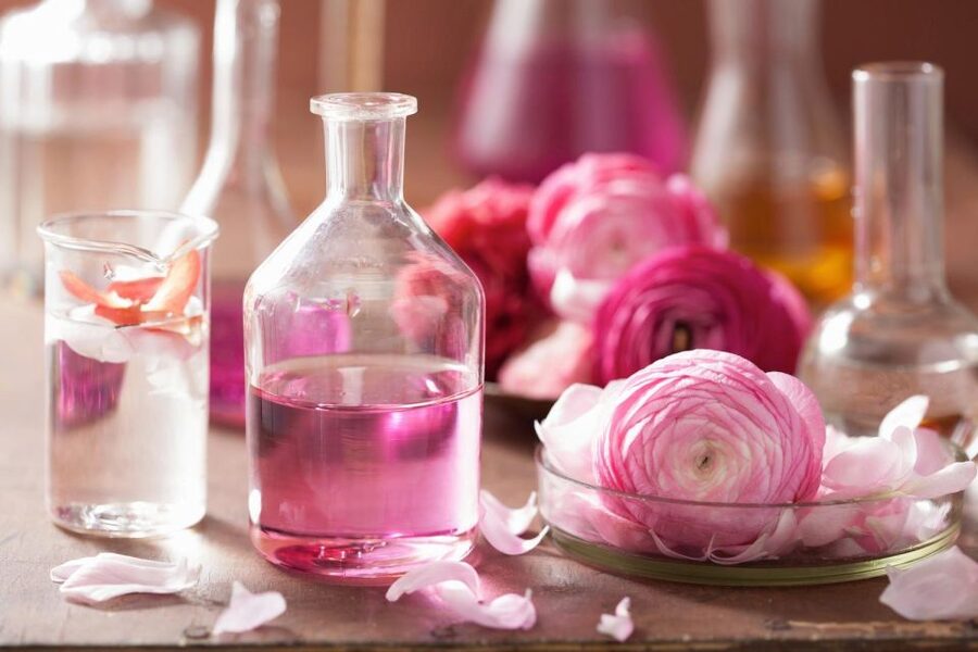 From Nice: Jewels of Provence Full-Day Tour with Transfers - Grasse and Fragonard: perfume culture with a real-world stop