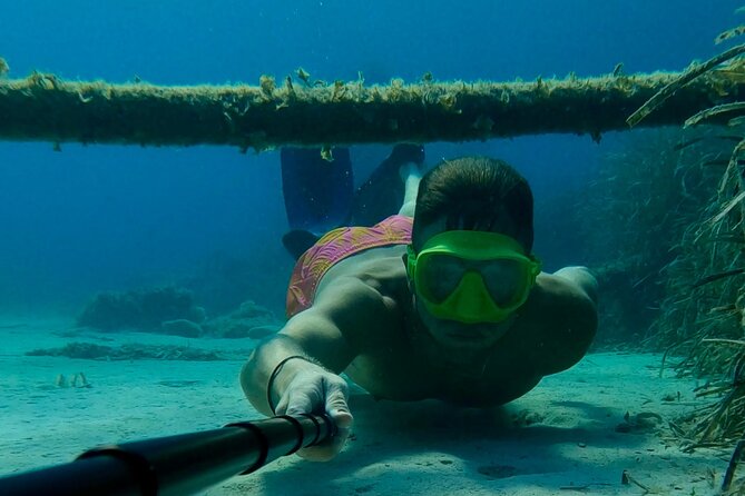 From Nice : Lerins Islands Boat Excursion with Snorkeling - What you pay for: value vs what’s on you