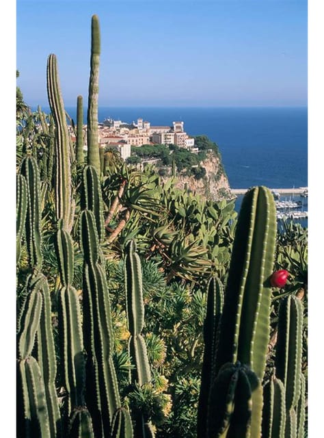 From Nice: Monaco, Monte Carlo & Eze Full-Day Tour - Mont Boron and the Corniche Roads: Your Mediterranean Photo Run