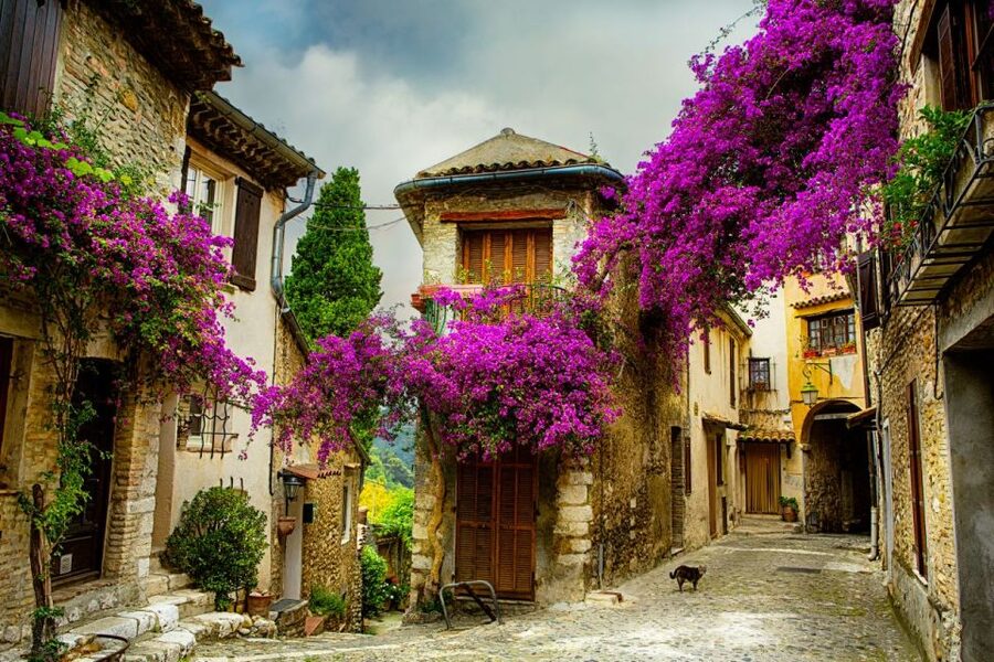 From Nice: Provence and its Medieval Villages Full-Day Tour - Key things I’d circle before you book