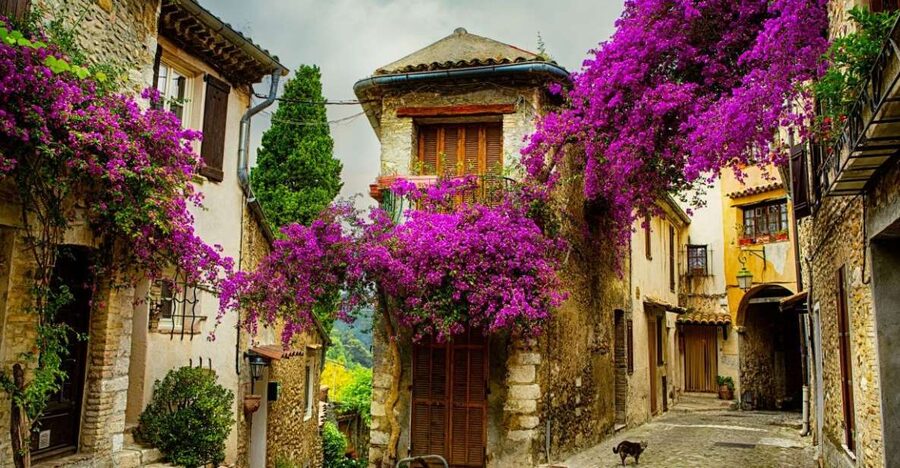 From Nice: Provence and its Medieval Villages Full-Day Tour - Why this Provence day trip starts in Grasse, not the coast
