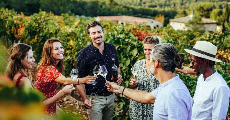 From Nice: Provence Wine Full-Day Tour - What You Taste: Around 15 Wines Without a Random Sampling Problem