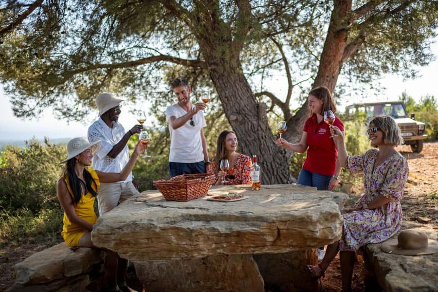 From Nice: Provence Wine Full-Day Tour - Getting Out of Nice and Into Côtes de Provence
