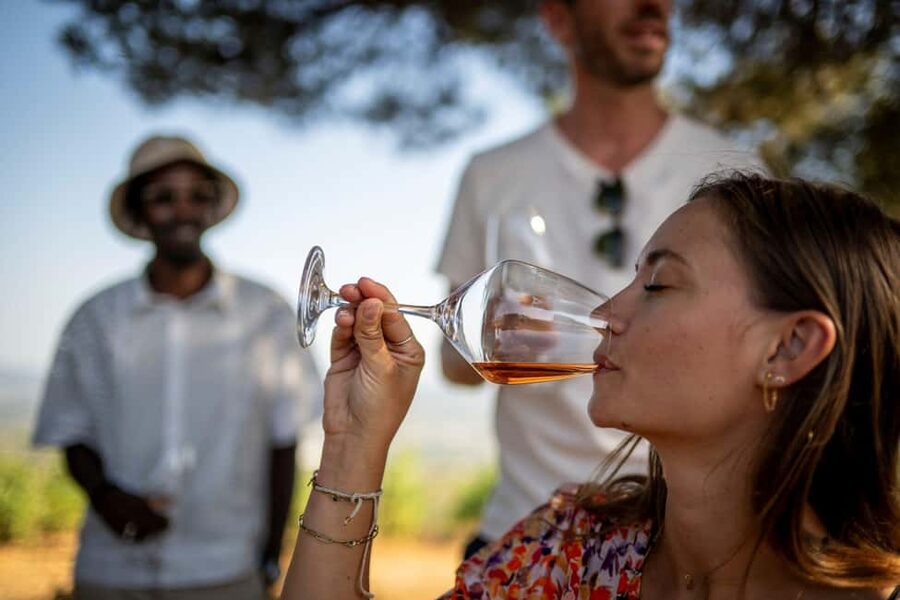 From Nice: Provence Wine Full-Day Tour - Stop 2: Four Generations of Family Craft on an Artist-Supporting Estate