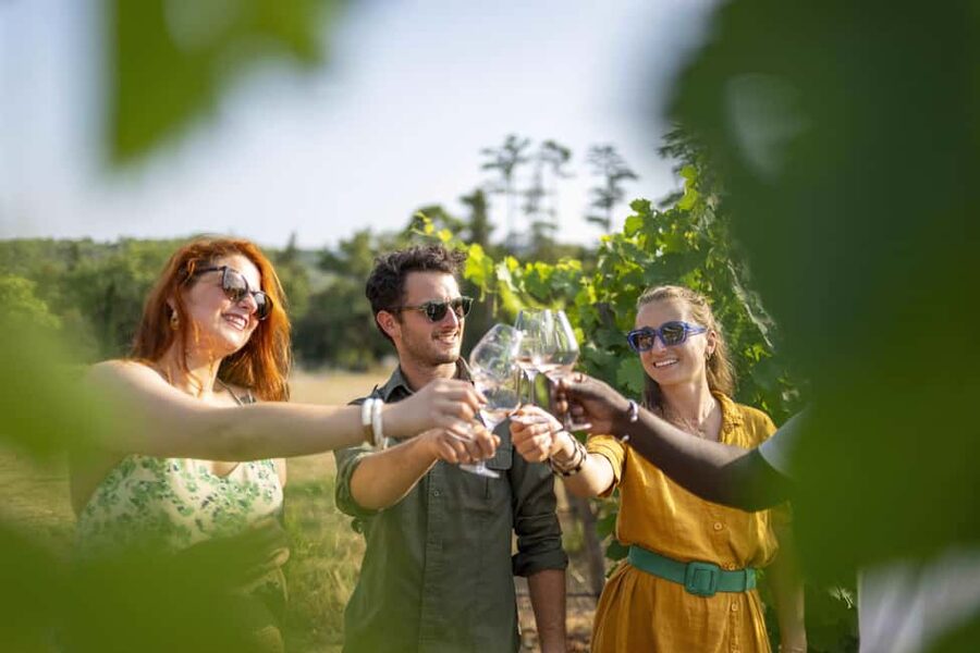 From Nice: Provence Wine Full-Day Tour - Stop 3: Certified Organic Wines, Gardens, and a Cellar You’ll Want Photos For