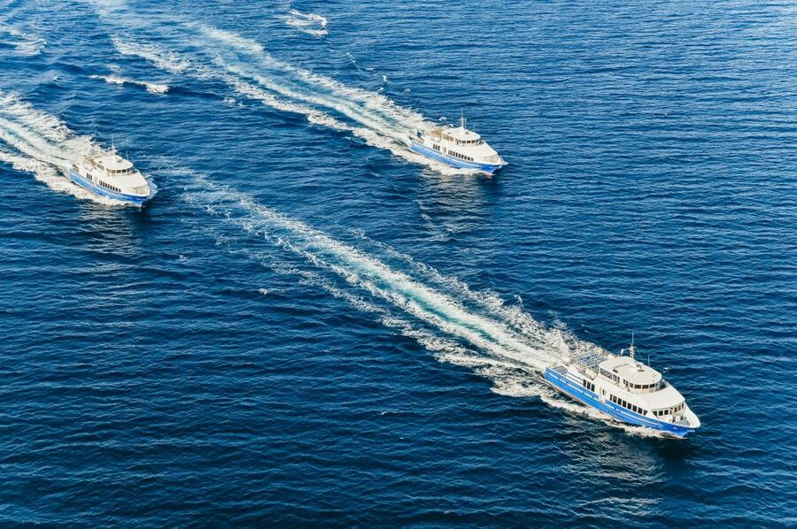 From Nice: Round-Trip Transportation to Saint Tropez by Boat - Nice to St. Tropez by Boat: the simple way to do a famous Riviera day