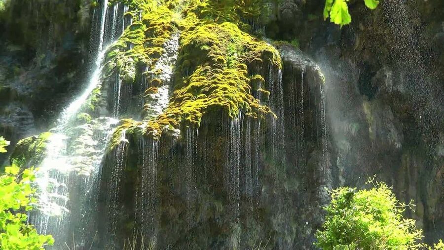 From Nice: Verdon Gorges & Lavender Fields Tour & Transport - Price, transport, and the value of seeing it all in 9 hours