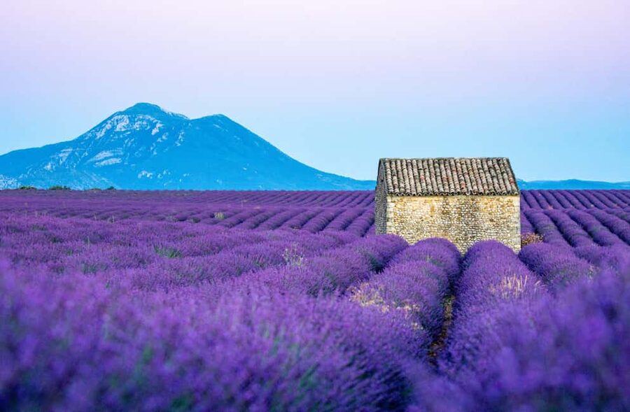 From Nice: Verdon Gorges & Lavender Fields Tour & Transport - The Verdon drive: turquoise waters and the scale of Europe’s largest canyon