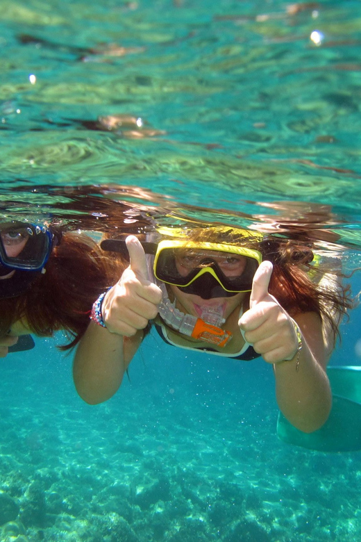 From Nice: Villefranche Bay Swimming & Snorkeling Boat Tour - Who Should Book This Tour (and who shouldn’t)