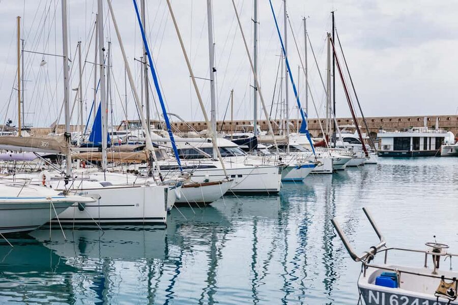 From Nice: Wine Tasting, Cannes, and Countryside Tour - Who this tour suits best (and who should think twice)