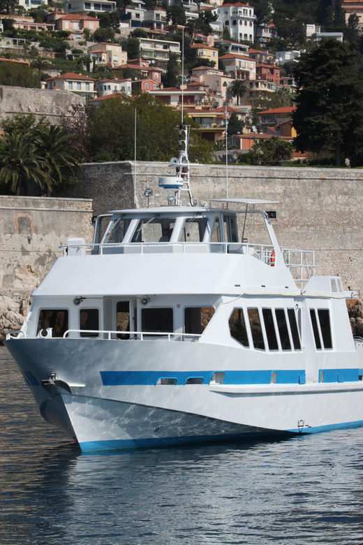 From Villefranche-sur-Mer: Guided Dolphin-Watching Tour - A quick, realistic booking check before you commit