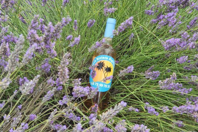 Full Day Private Tour in Lavender and Provence with Pickup - Key highlights
