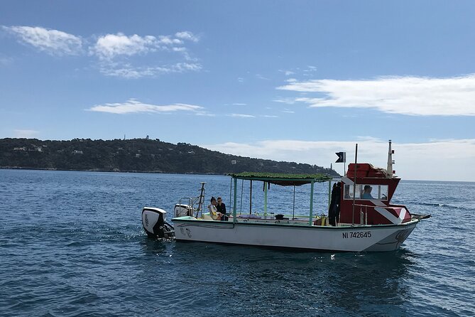 Half Day Snorkeling & Diving in Nice - St-Jean-Cap-Ferrat: finishing with cap views and a snack on the way back