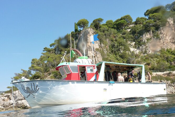 Half Day Snorkeling & Diving in Nice - Gear, included drinks, and what you’ll really pay for