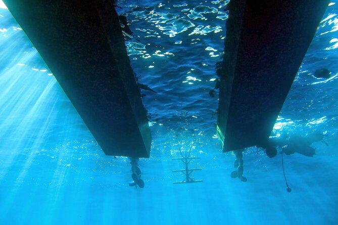 Half Day Snorkeling & Diving in Nice - Price: is $254.33 worth it?