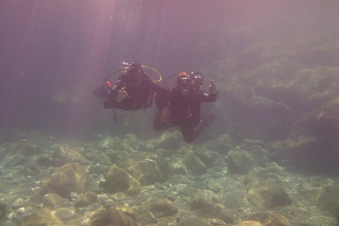 Half Day Snorkeling & Diving in Nice - Getting on the water: meeting time, boat timing, and where to go