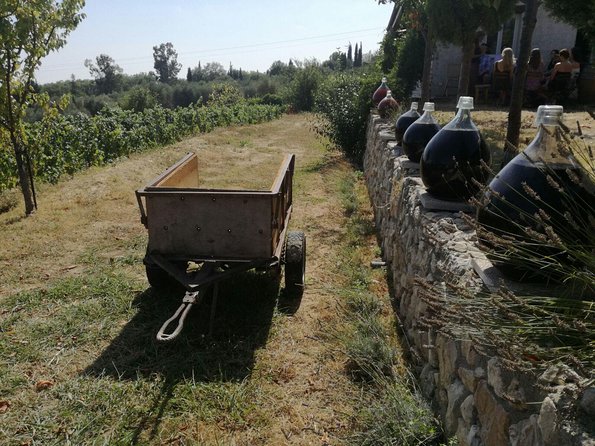 Half-Day Wine Tasting and Saint Paul de Vence Tour from Nice - Key highlights you’ll care about