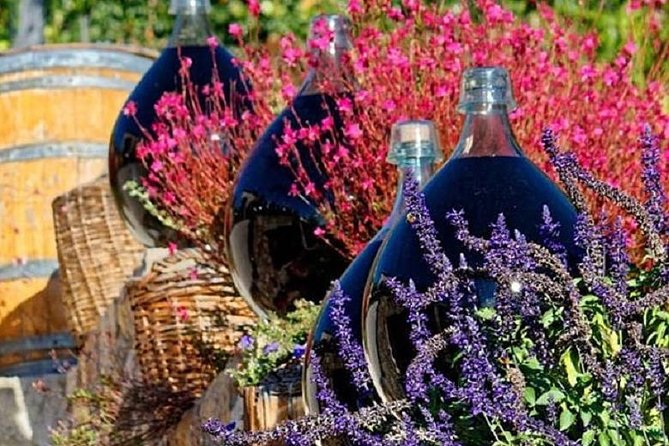 Half-Day Wine Tasting and Saint Paul de Vence Tour from Nice - Practical Tips for Your 4 Hours
