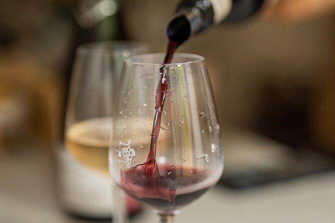 Introduction to Wine Tasting in Nice city centre (6 French wines) - Who should book this wine tasting in Nice