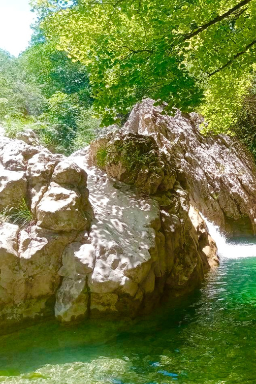 Mountain Train Experience: Hike & Mystic Forest (From Nice) - Starting early at 7:30 and getting the day back by 9:00